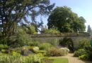 Un noyer grenoblois au jardin botanique d’Oxford…